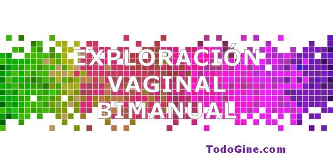 Exploracion vaginal bimanual