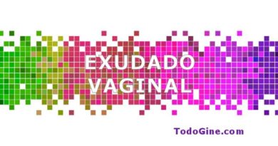 Exudado vaginal