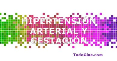 Hipertension arterial y gestación