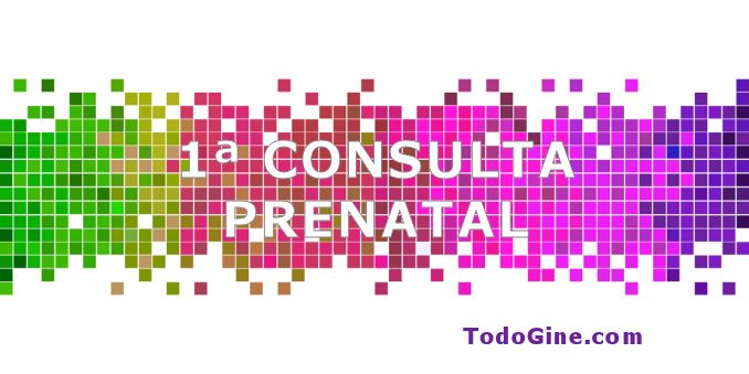 Primera consulta prenatal